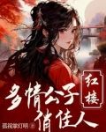 红楼:重生贾环文武双全