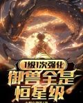 1级1次强化,御兽全是恒星级