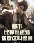 都市:比悍匪还猛,你管这叫警察?