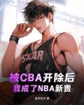 被CBA开除后,我成了NBA新贵