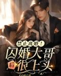 禁止离婚!闪婚大哥后很上头
