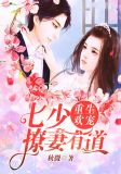 重生欢宠:七少撩妻有道