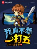 我真不想一打五
