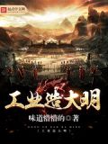 工业造大明txt八零下载